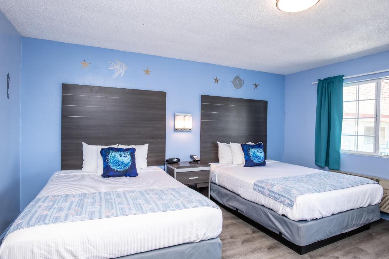 Standard Triple Room,1211085916:JPEG