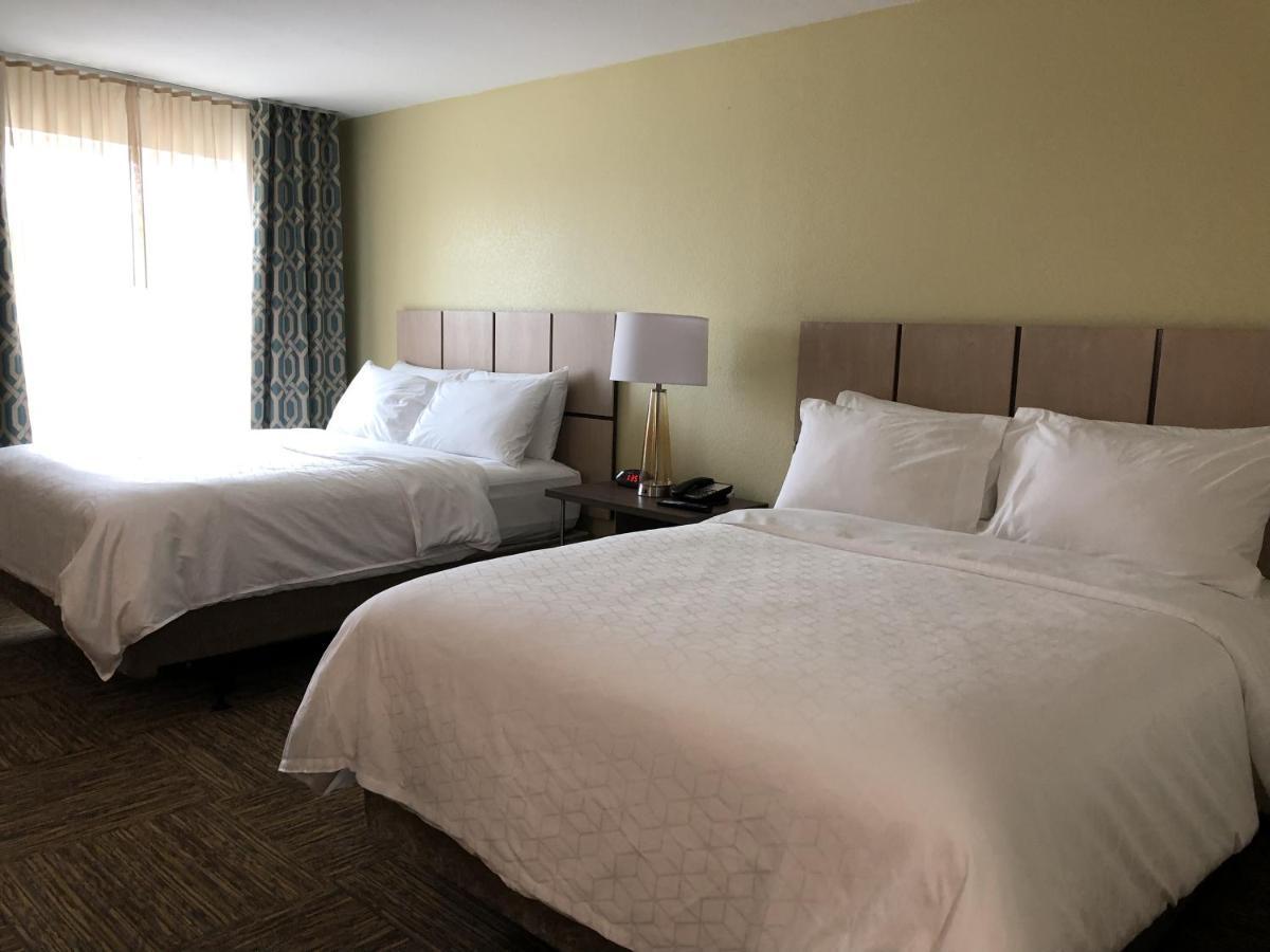 Studio Suite with Two Queen Beds