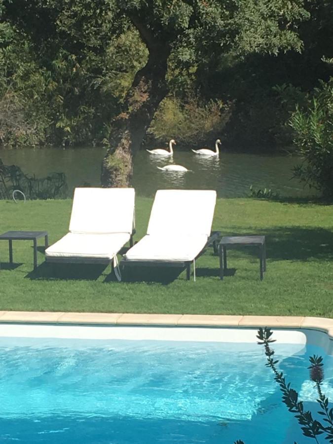 Appartement - Vue sur Jardin