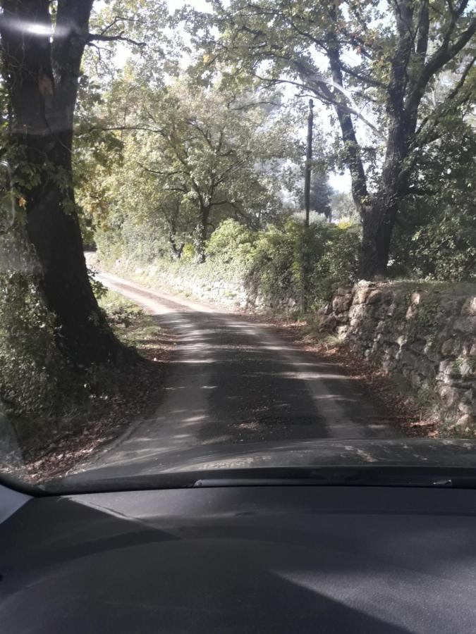 Studio met Terras