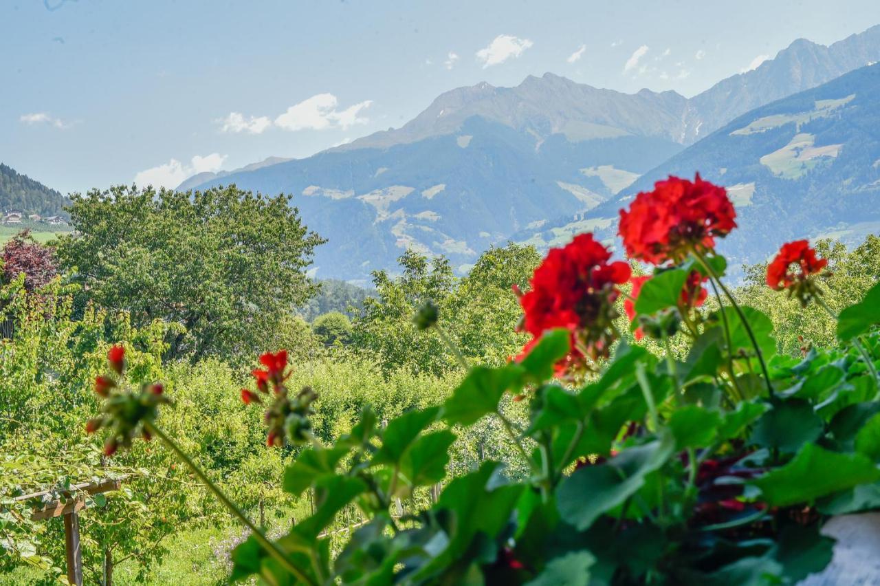Einzelzimmer mit Bergblick