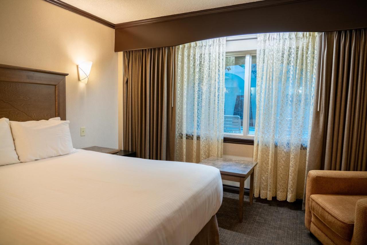 Standaard Kamer met 2 Queensize Bedden