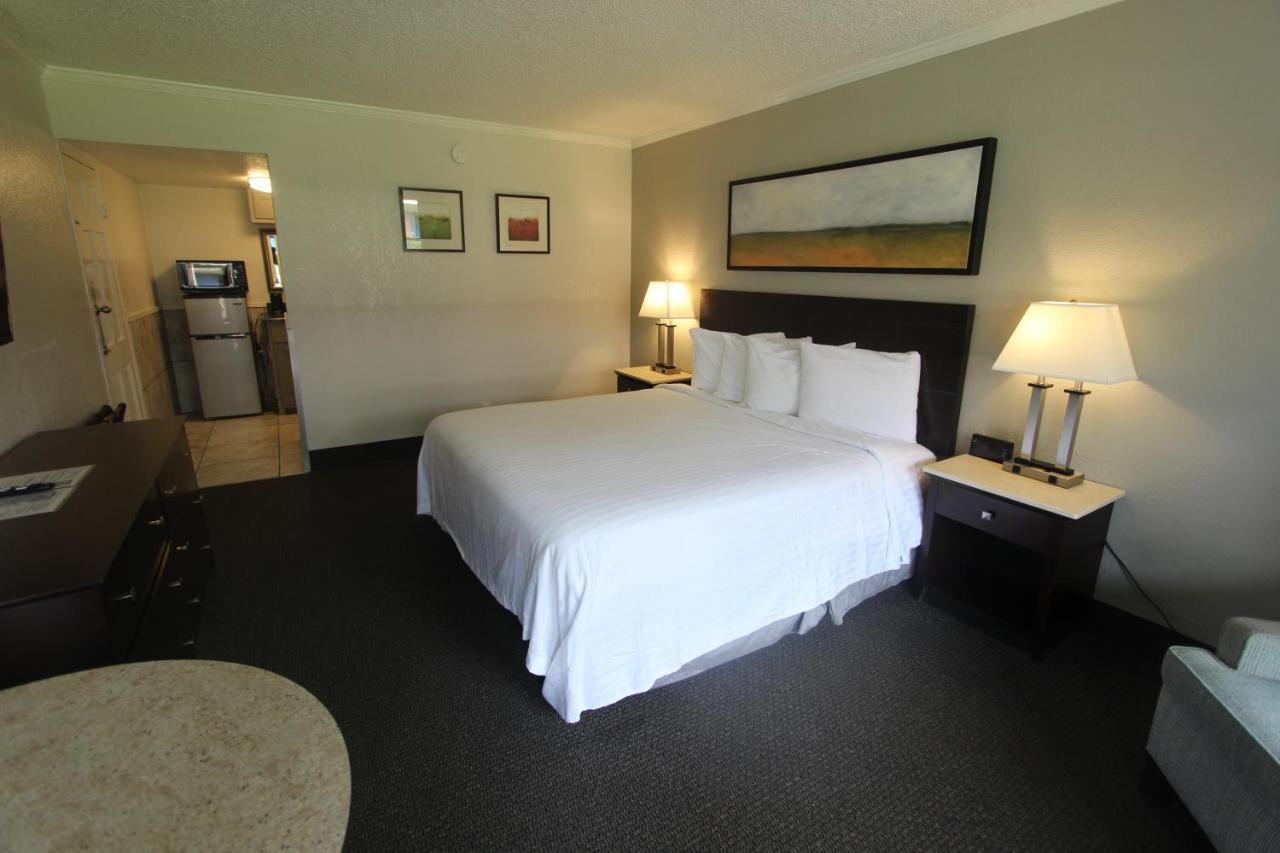 Standard King Room,1089505074:JPEG