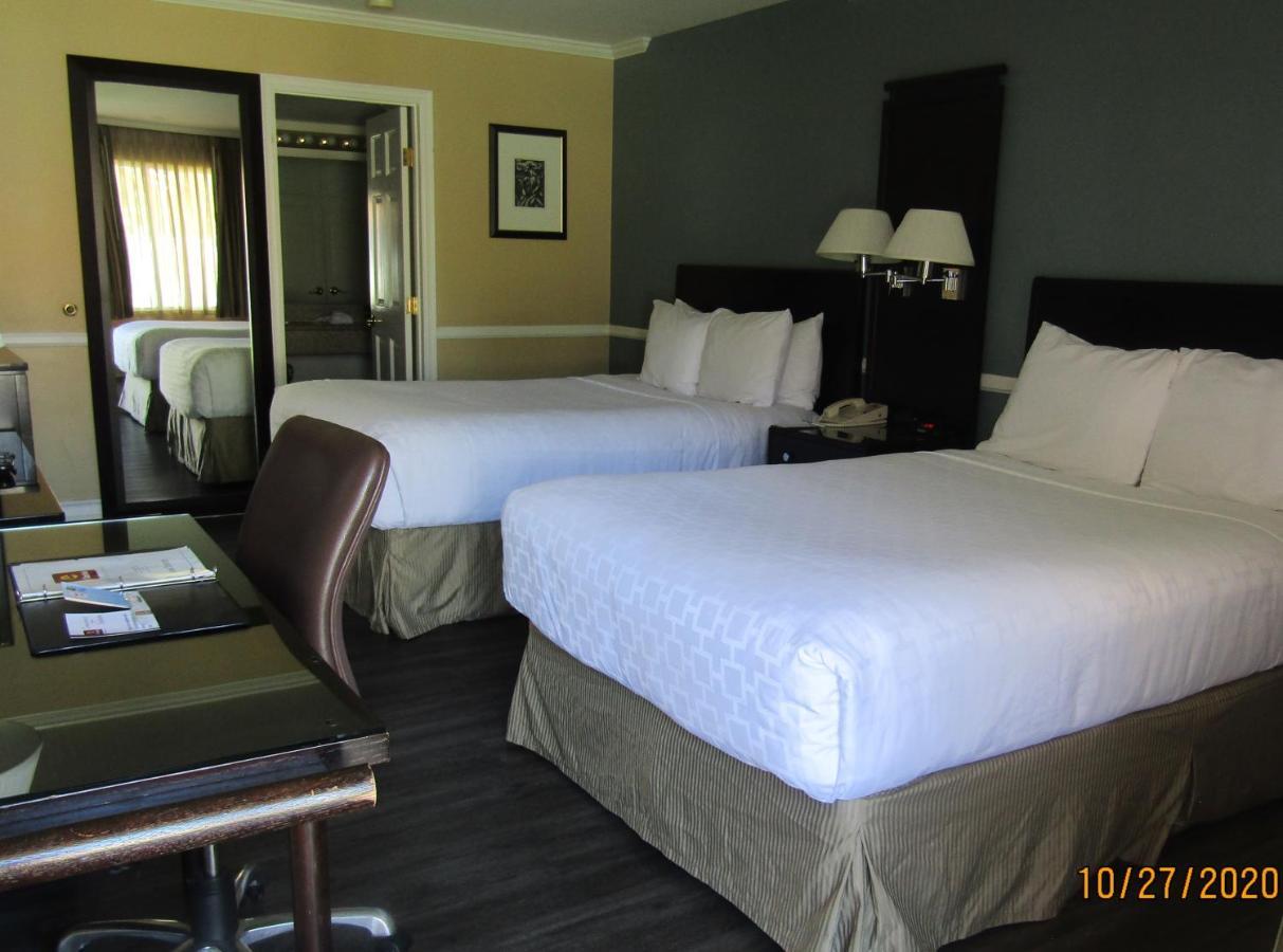 Deluxe Double Room with Two Double Beds and Roll-In Shower - Mobility Accessible/Non-Smoking
