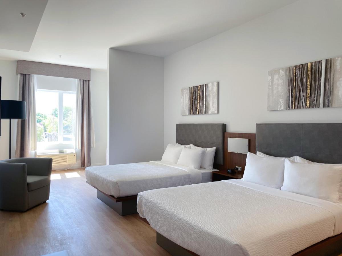 Suite mit Queensize-Bett und Schlafsofa – keine Haustiere, Nichtraucher