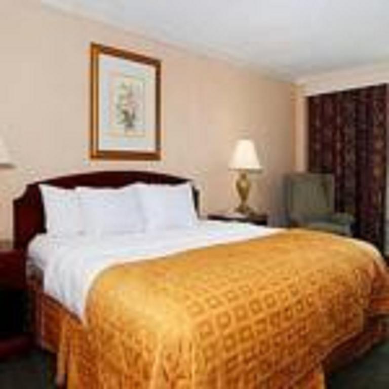 King Room - Non-Smoking