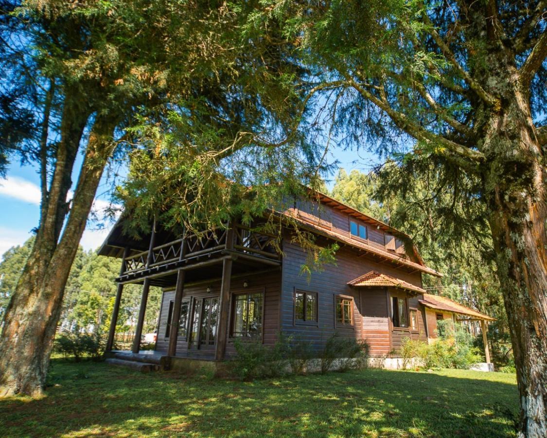 Cottage,1181534032:JPEG