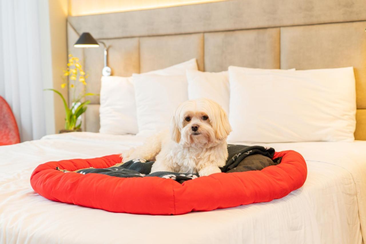 Superior Apartment with one double bed