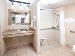 King Room with Roll-In Shower - Disability Access