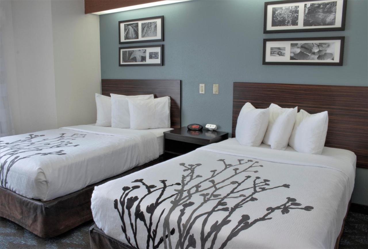 Double Room with Two Double Beds - Non-Smoking