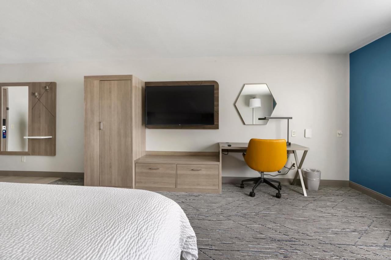 King Suite with Sofa Bed
