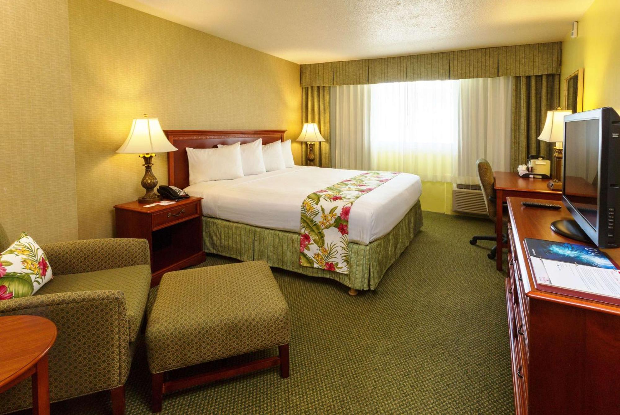 Standard Room with King Bed - Non-Smoking,1275587560:JPEG