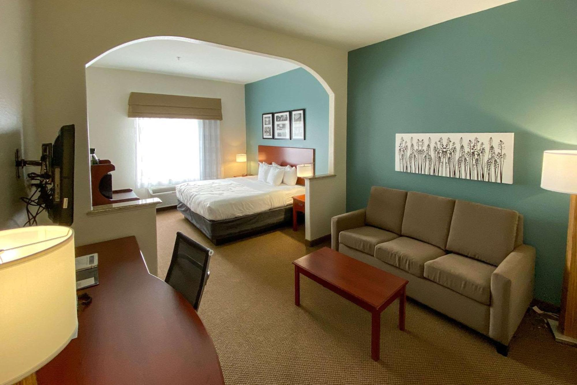 Deluxe King Suite with Sofa Bed