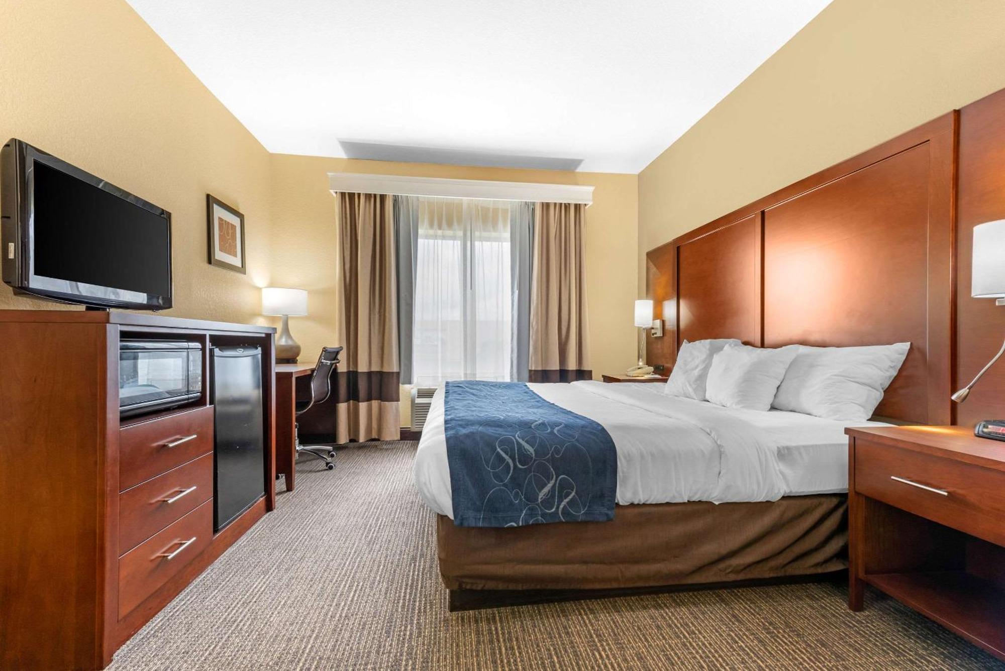 One Room Suite with Sofa bed - Non Smoking