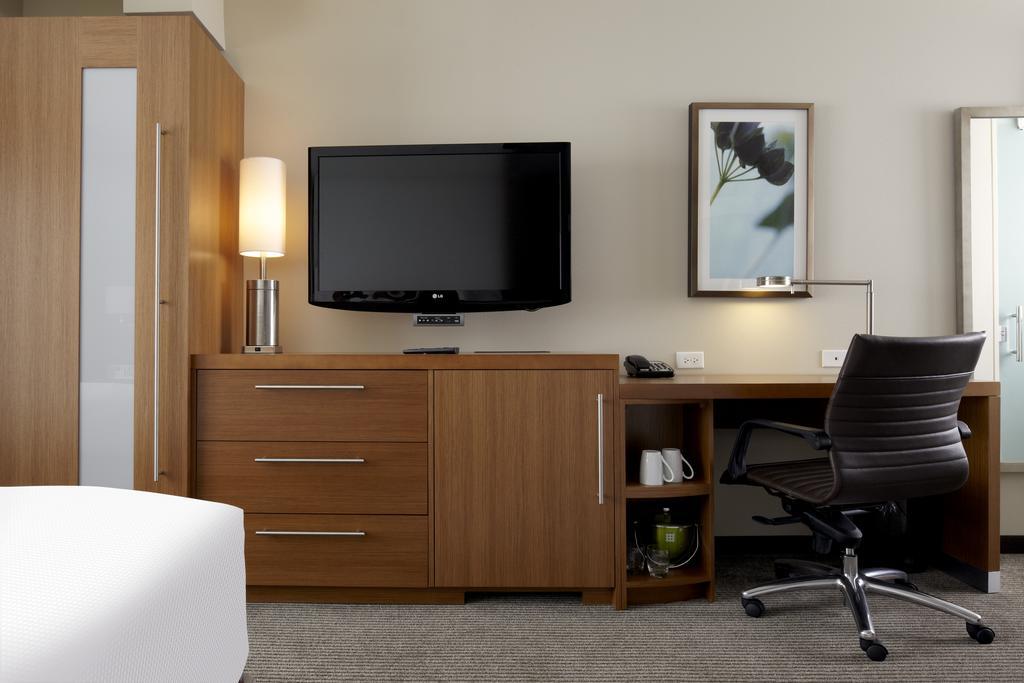King Room with Sofa Bed and Roll-In Shower - Disability Access