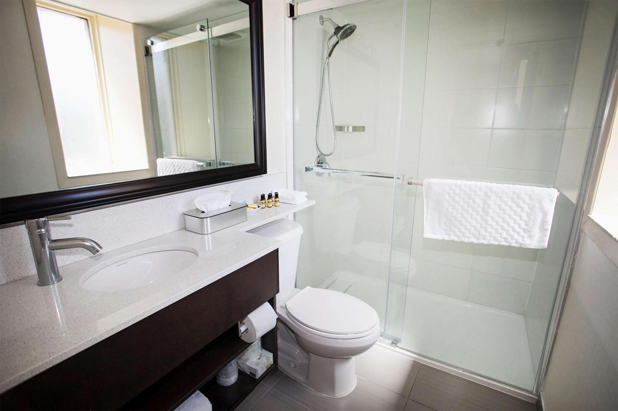 Deluxe Kamer met Kingsize Bed - Rookvrij