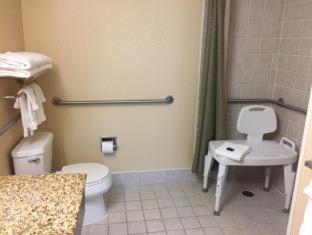 Queen Room with Sofa and Roll-In Shower - Disability Access/Non-Smoking