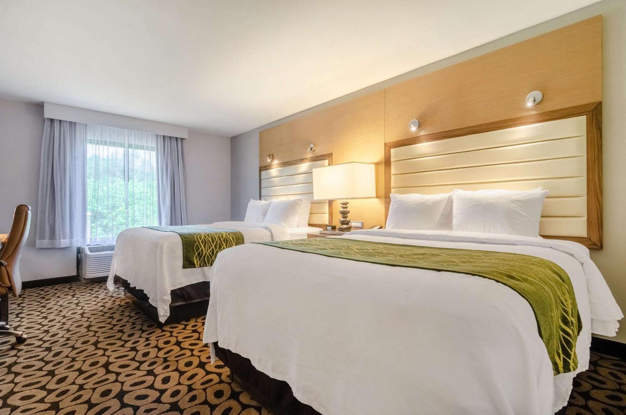 Queen Room with Two Queen Beds - Non-Smoking