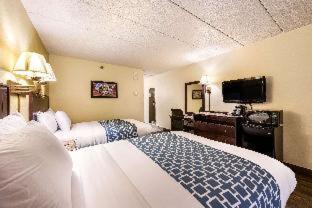 Standard Double Room with Two Double Beds