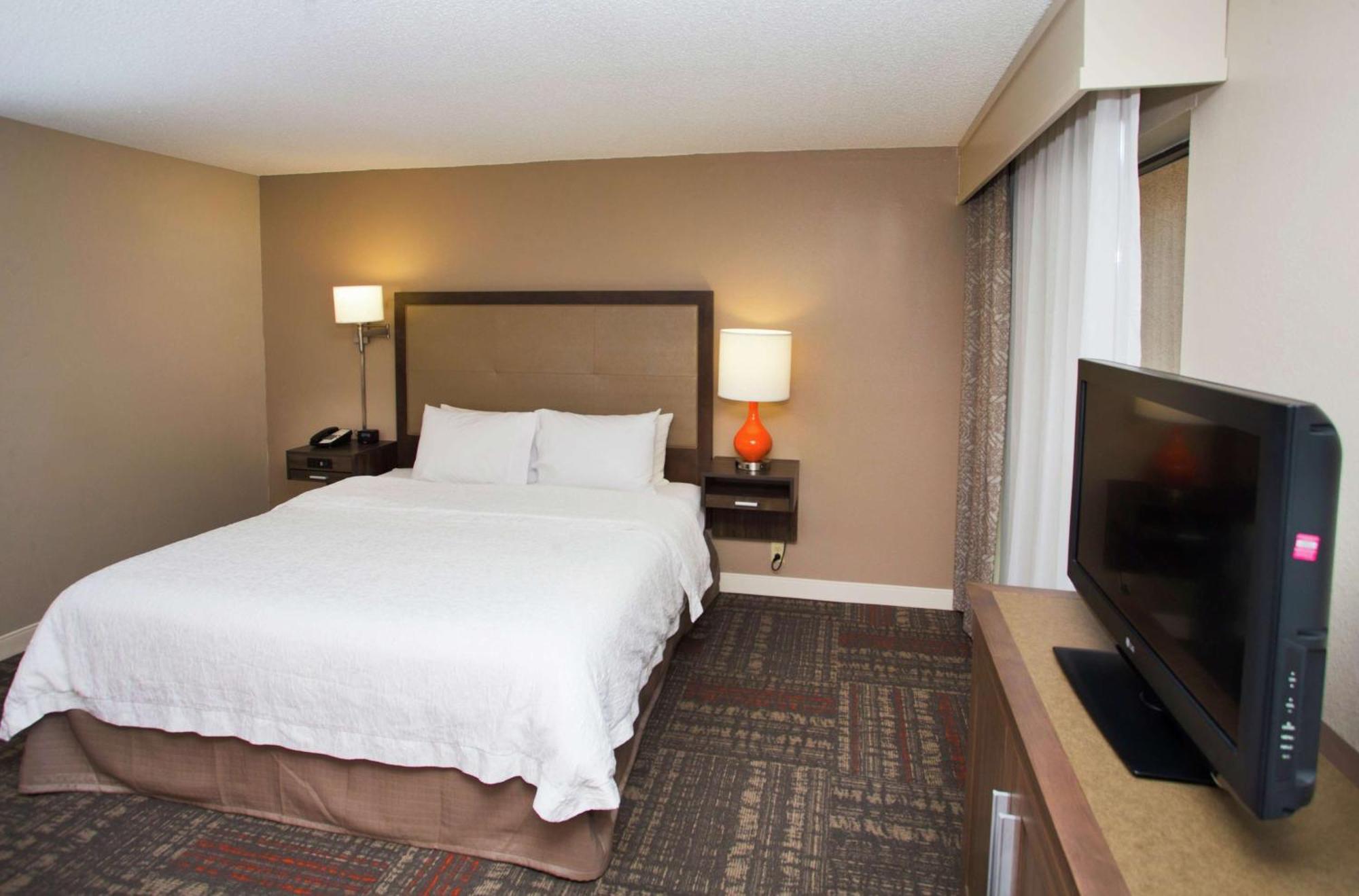 King Studio Suite with Sofa Bed - Non-Smoking