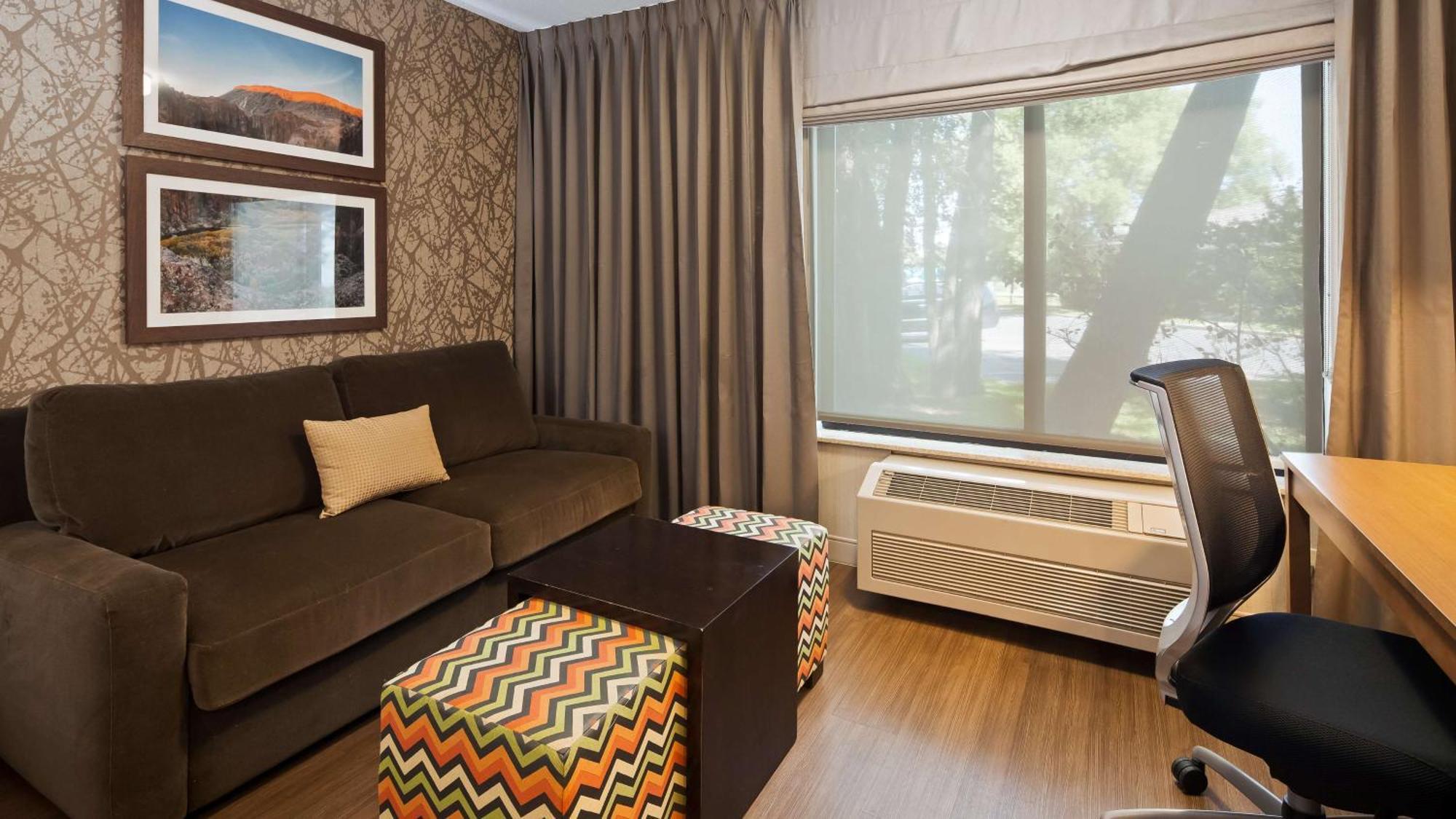 King Room with Sofa Bed - Pet Friendly