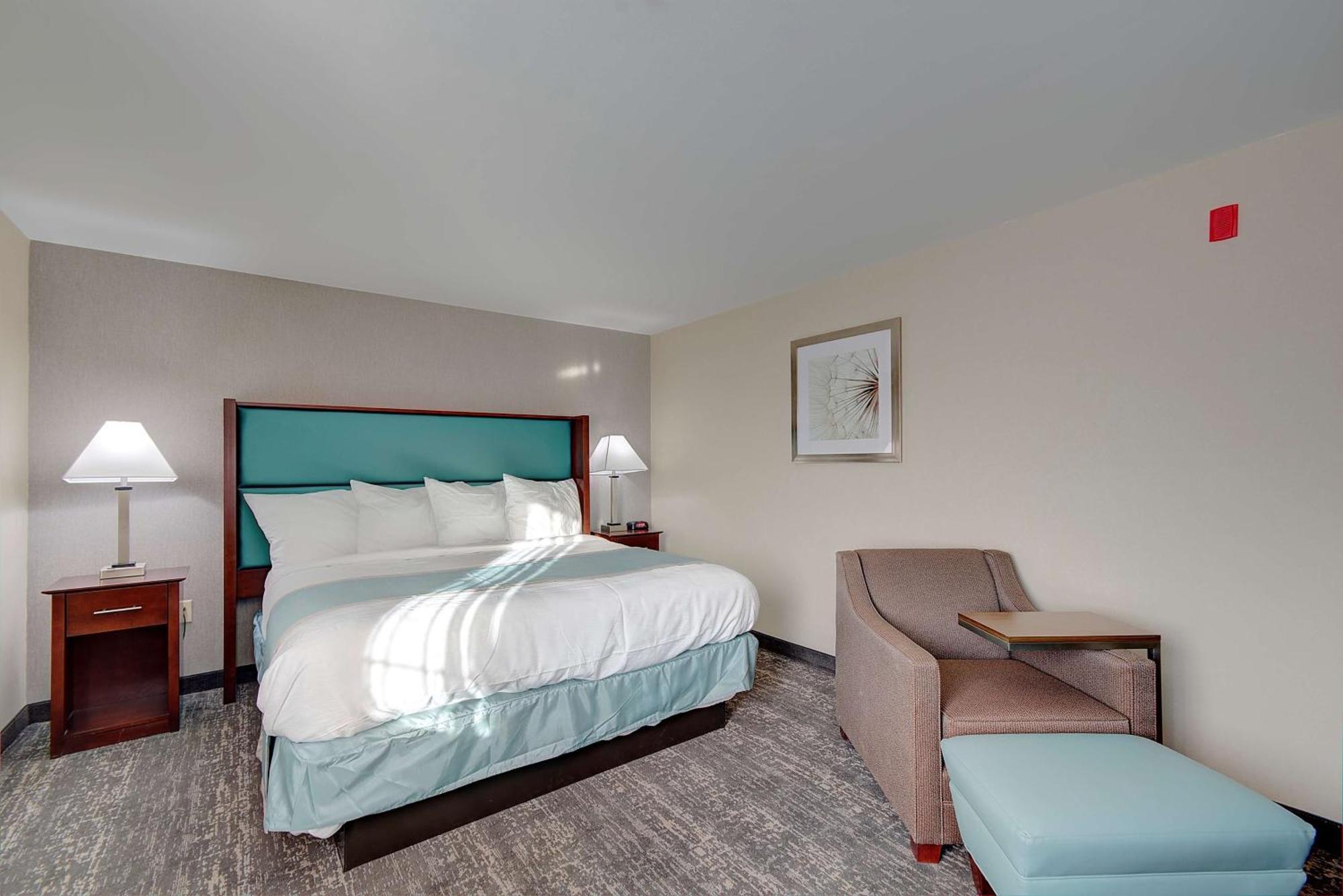 One-Bedroom King Suite with Sofa Bed,1284275026:JPEG