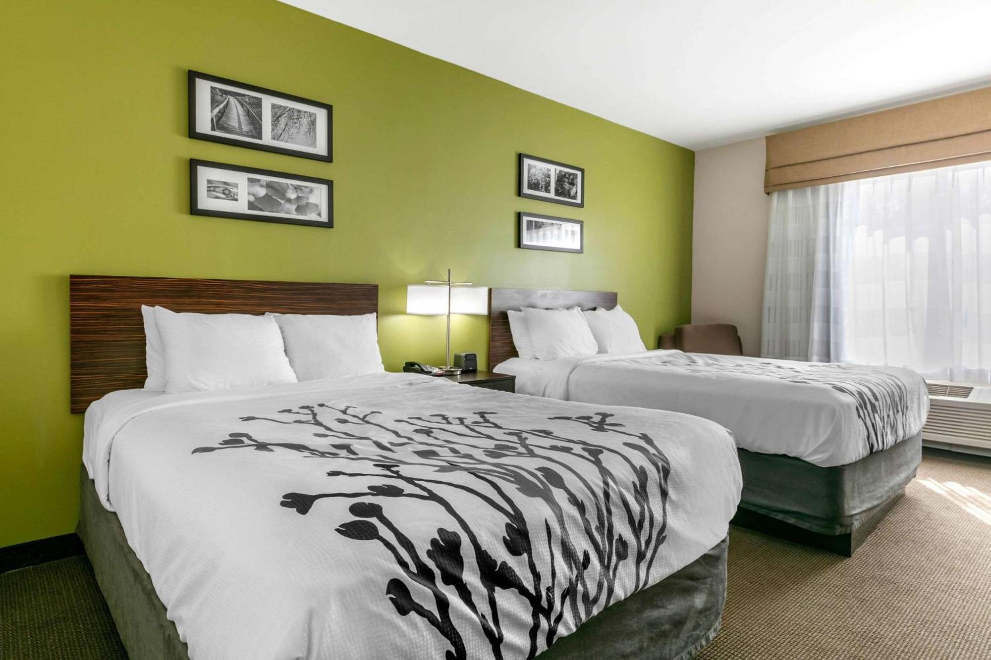 Queen Room with Two Queen Beds