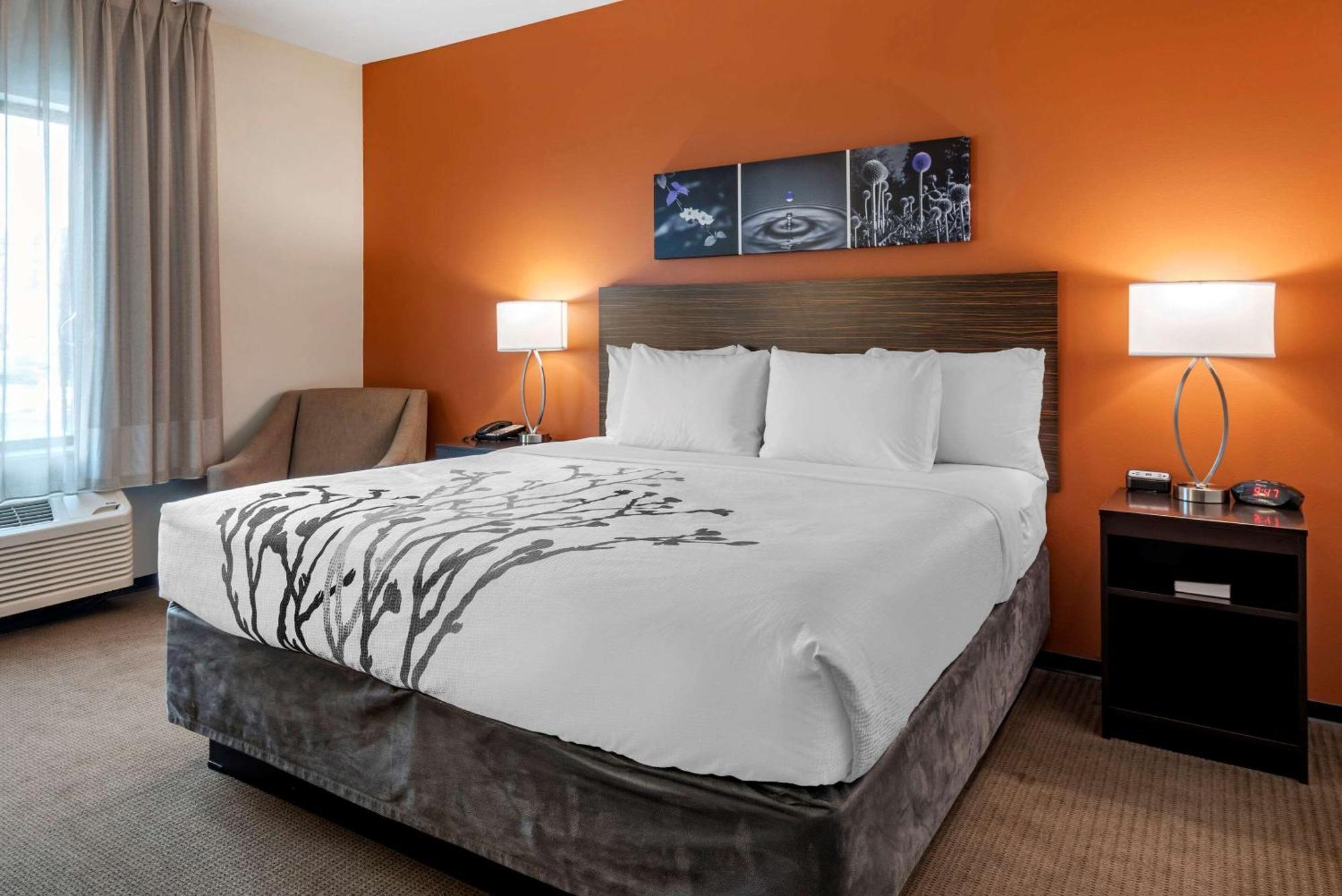 Kamer met Kingsize Bed - Rookvrij