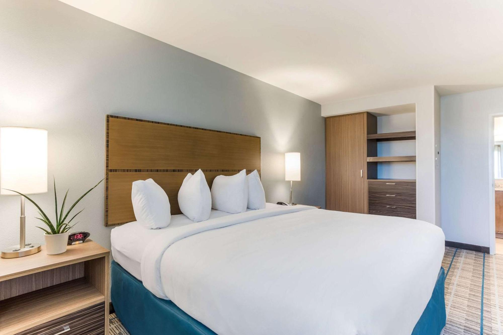 1 Bedroom Suite 1 King Bed Sofa bed Non-Smoking,1285572496:JPEG