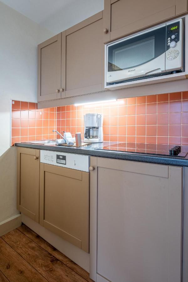 Appartement 1 Chambre avec Balcon et Vue sur Montagne (4 Personnes)