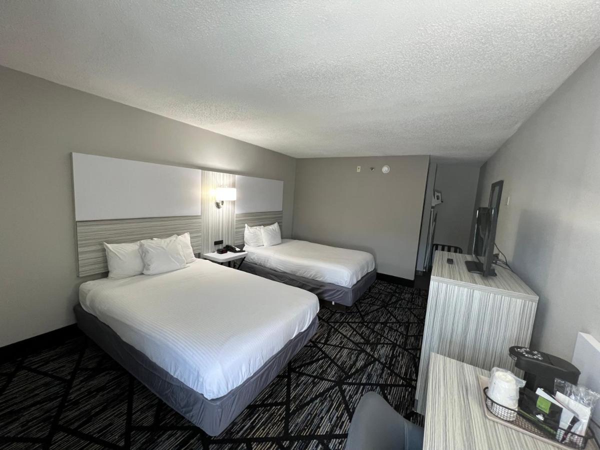 4 Double Beds, Studio Suite, Non-Smoking