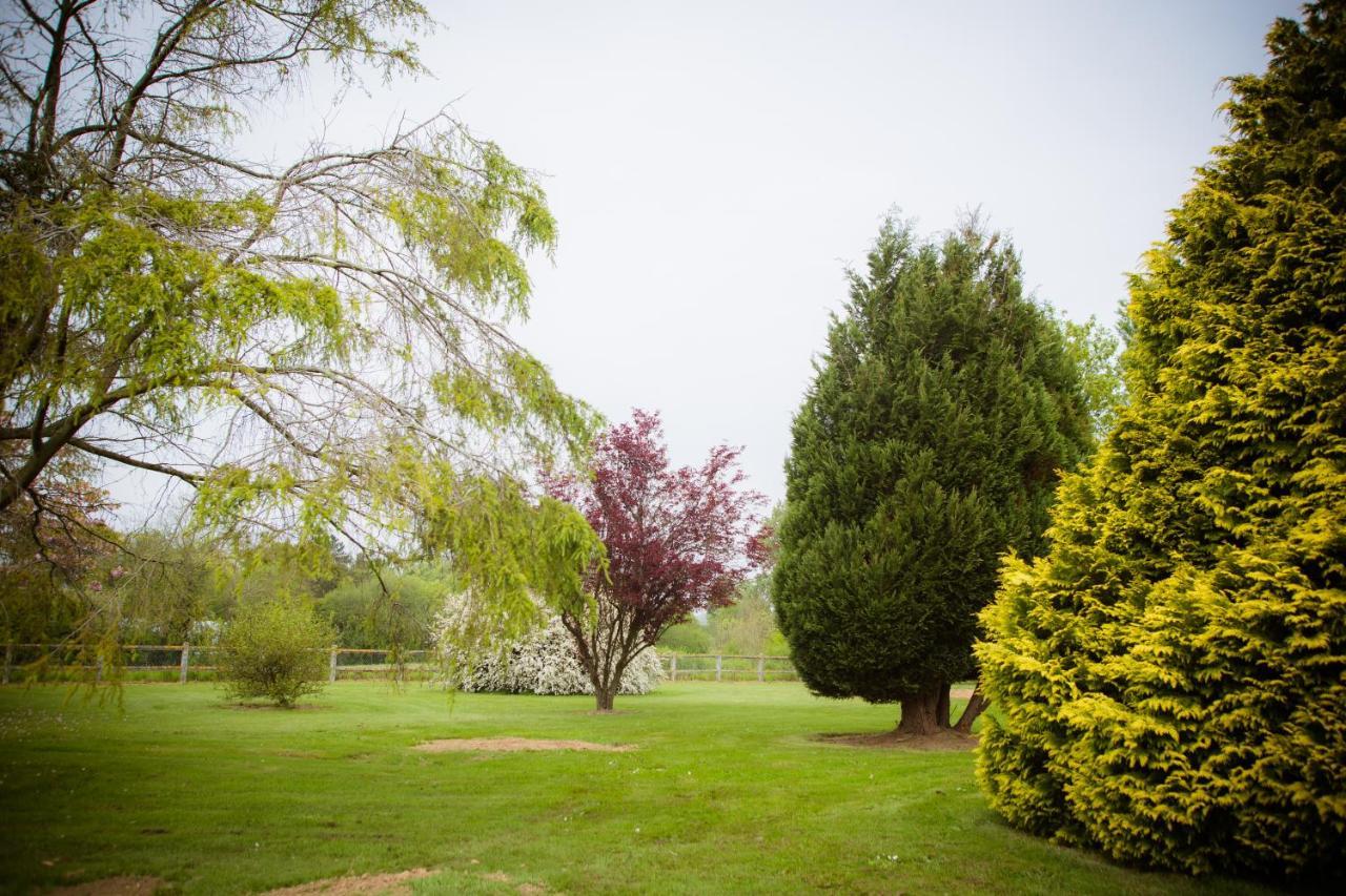 Chambre Double Supérieure - Vue sur Jardin