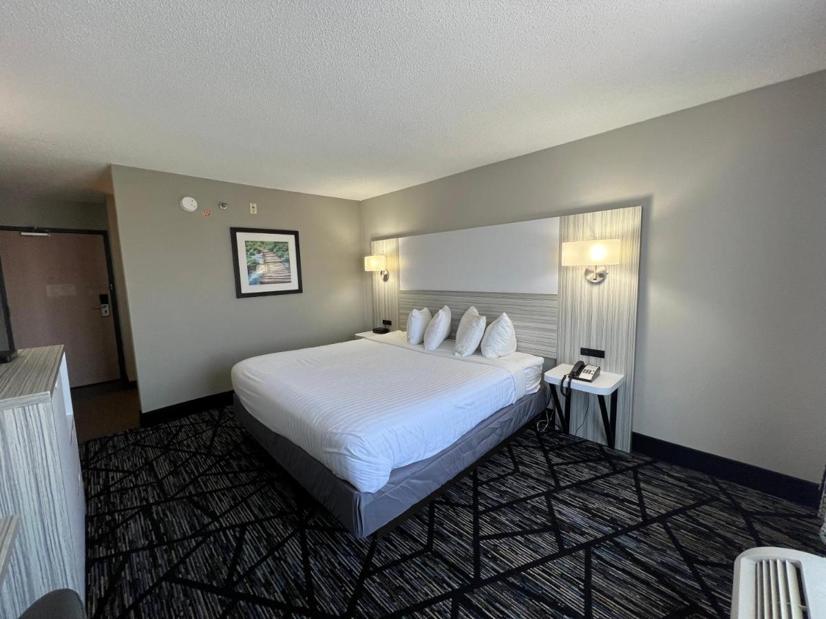 King Room - Non-Smoking,1318533673:JPEG