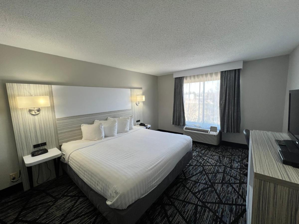 King Room with Roll-In Shower - Disability Access
