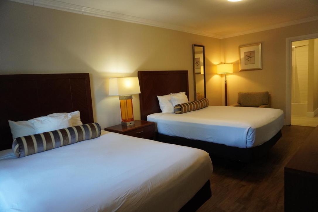 Chambre avec 2 Grands Lits Queen-Size