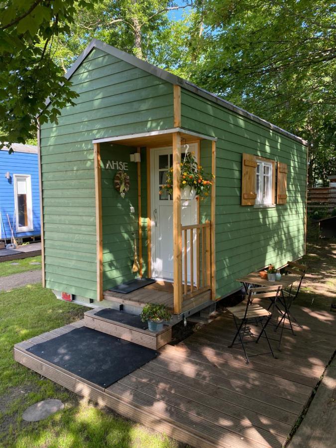 Apartment mit Gartenblick