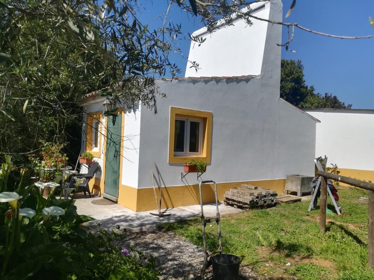 Studio met Uitzicht op de Tuin