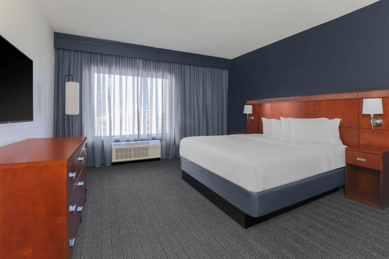 One-Bedroom King Suite with Sofa Bed