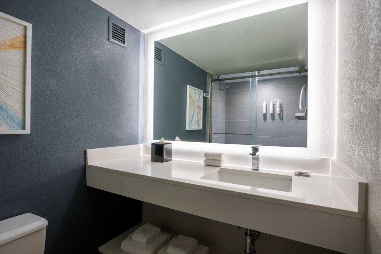 King or Double Room