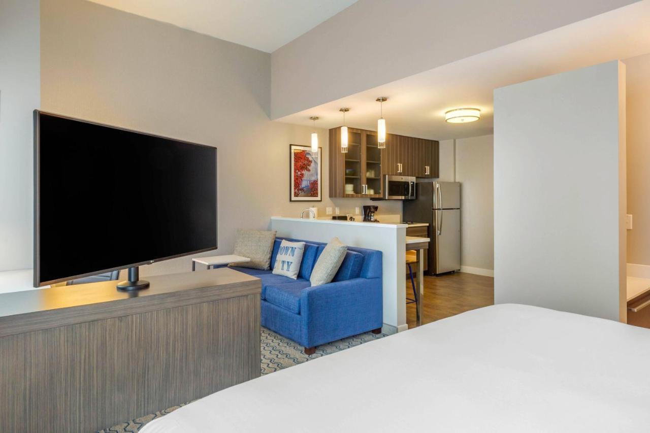 Studio, 1 King, Sofa bed, High floor