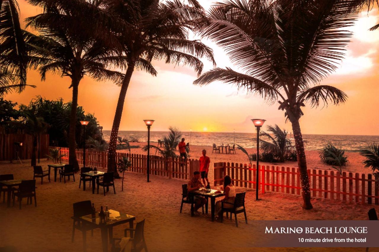 Camera King Premier con Tour della Città Gratuito e Accesso al Beach Lounge