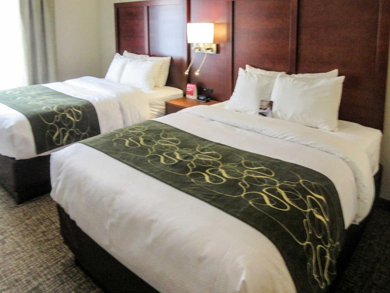 Queen Suite Two Queen Beds Non-Smoking,1458564634:JPEG