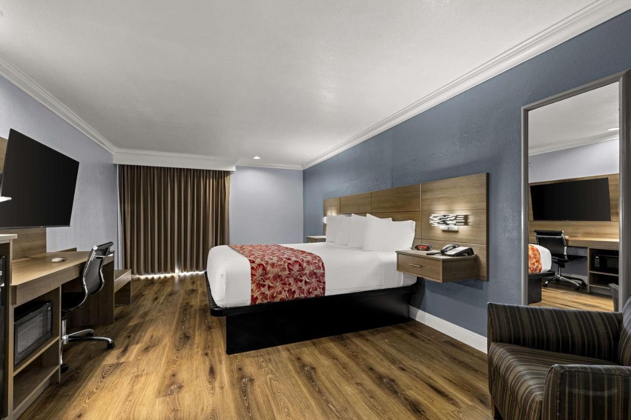 King Room with Roll-In Shower - Mobility Access