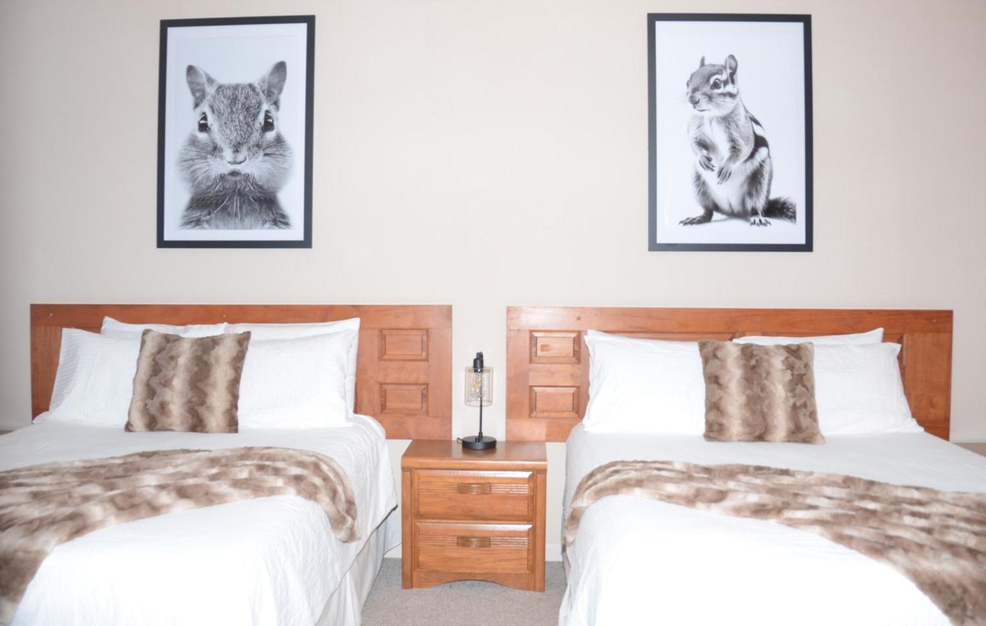 Queen Suite