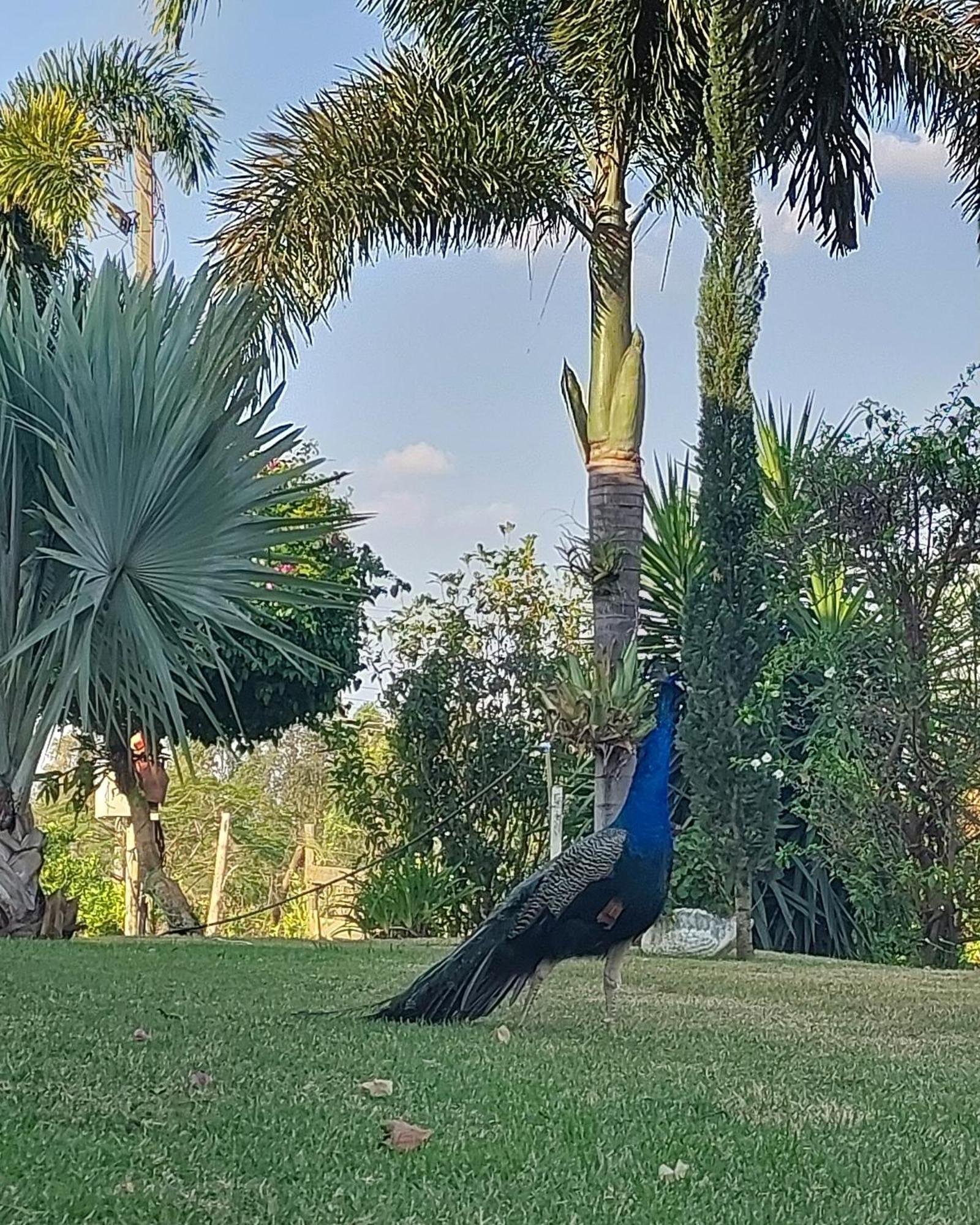 Estúdio Família