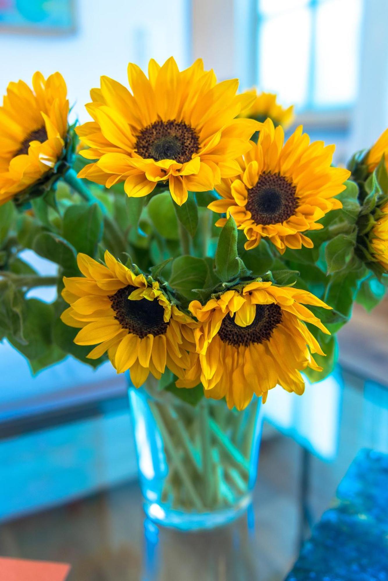 Kleines Einzelzimmer