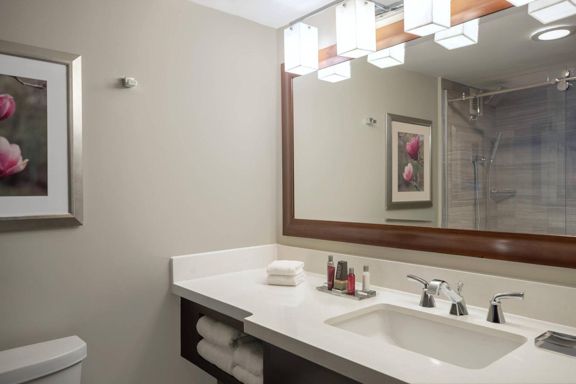 2 Queen Beds, Guest Room