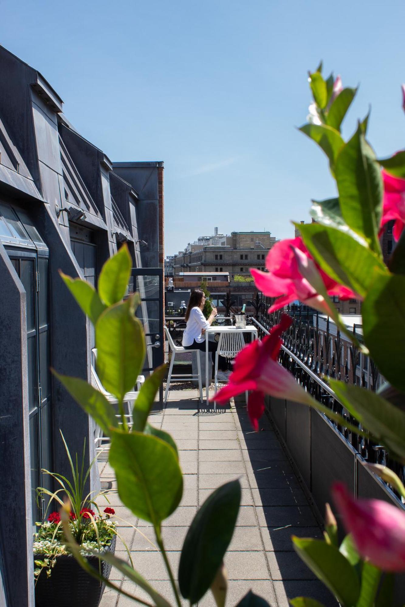 Premium Suite mit Terrasse
