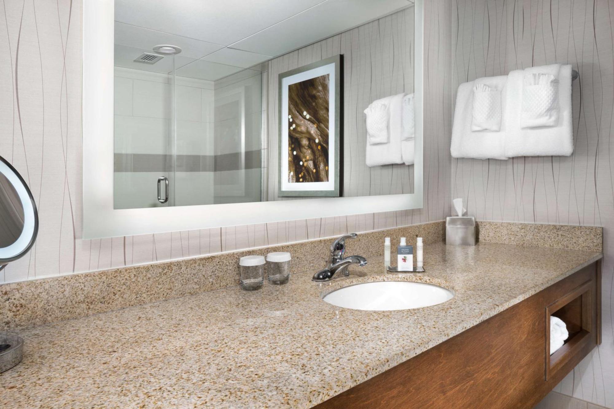 King Room Tub Mobility Hearing Access