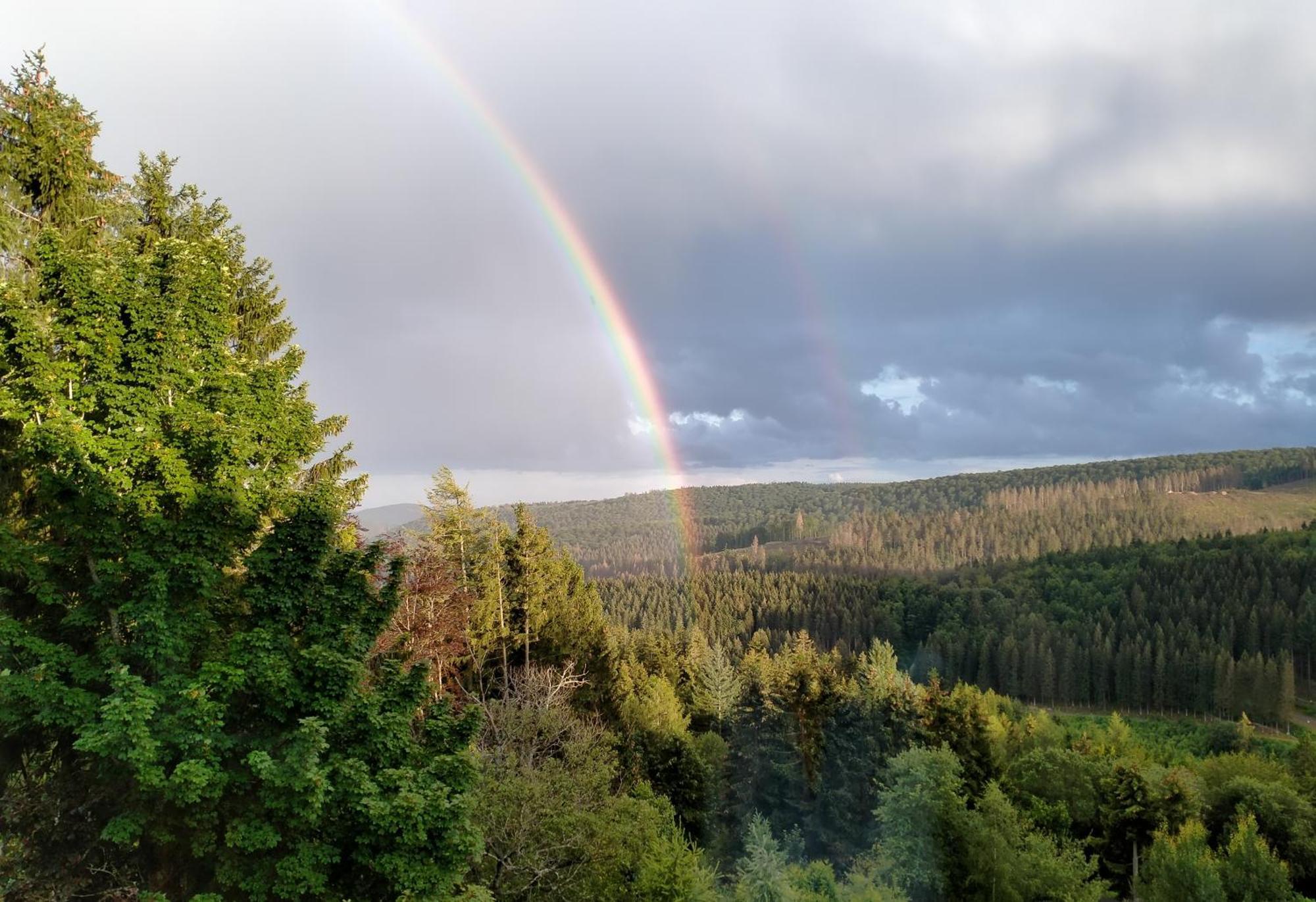 Dreibettzimmer mit Bergblick